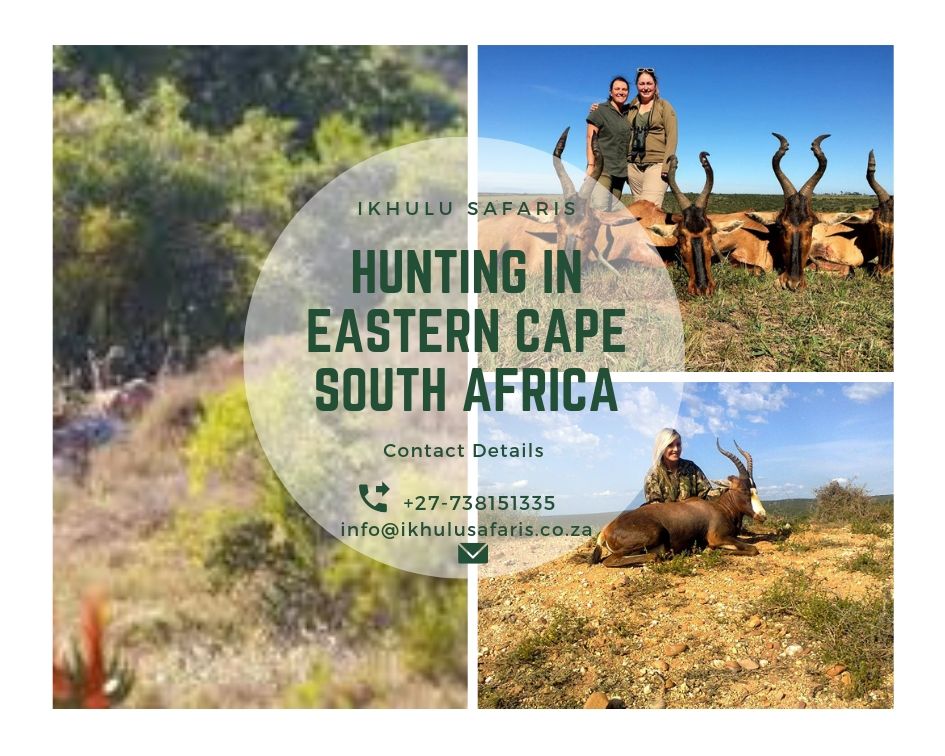 hunting-eastern-cape – Alltheweb- Buy and Sell for free anywhere in