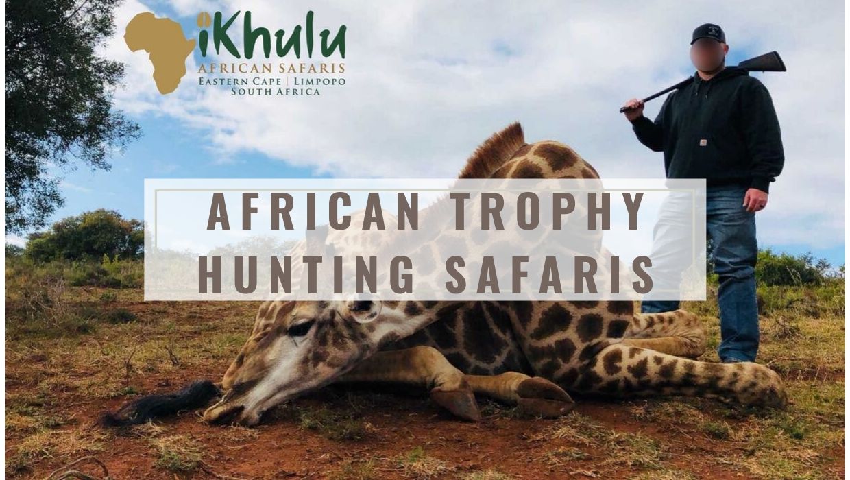 african hunting safaris – Alltheweb- Buy and Sell for free anywhere in