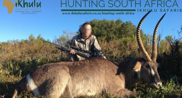 hunting south africa